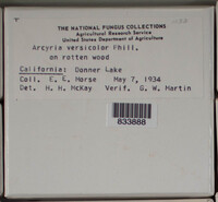 Image Associated With the Occurence